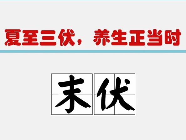 【节气】三伏天末伏，夏末狂欢，抓住夏天尾巴