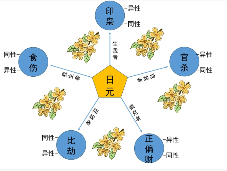 【国学知识】十神的象义？十神代表什么